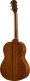 Csf3Mtbs Tobacco Sunburst