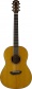 Csf3Mvn Natural