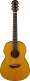 Csft-Ta Transacoustic Vintage Natural