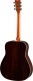 Fg830Ab Autumn Burst