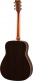 Fg830Tbs Tobacco Brown Sunburst