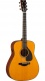 Fgx5 Gloss