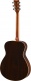 Fs830Tbs Tobacco Brown Sunburst
