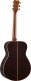 LS-TA BS TRANSACOUSTIC BROWN SUNBURST