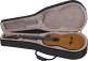 Ntx3 Brown Sunburst