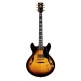 Sa2200 Brown Sunburst