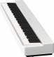 P-225 Blanc Pack Stand