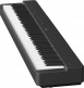 P-223 BLACK