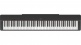 P-223 BLACK