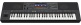 PSR-SX920