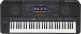 PSR-SX920