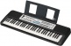 YPT-380 COMPLET BUNDLE - FREE ACCESSORIES 