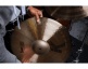 KS5791 Pack Cymbales K-series Sweet