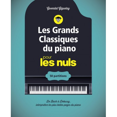 First Interactive Les Grands Classiques Du Piano Pour Les Nuls Cahier De Partitions Woodbrass Com