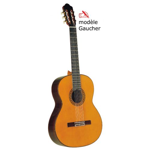 Esteve 1gr08, Gaucher