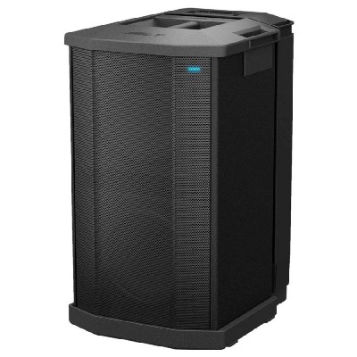 BOSE PROFESSIONAL SYSTEME F1 - CAISSON DE BASSES