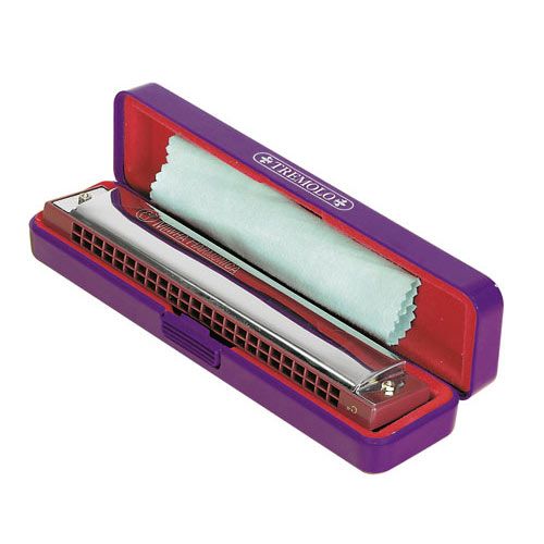 GRAND HARMONICA 24 TROUS 