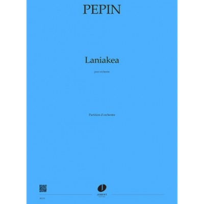 PEPIN CAMILLE - LANIAKEA - CONDUCTEUR
