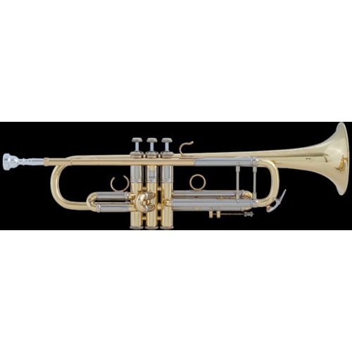 Bb professional trumpet