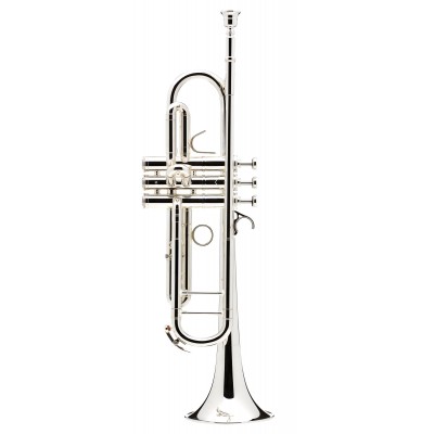 COURTOIS BB CONFLUENCE - SILVERPLATED
