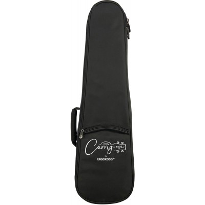Travel Bass Gigbag