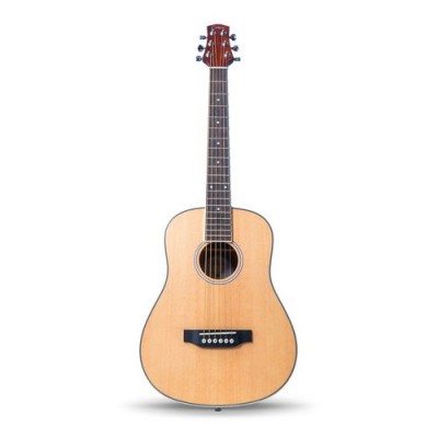 co-mini-a-gtr mini acoustic guitar