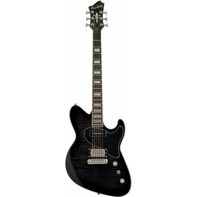 HAGSTROM Adina Dsm