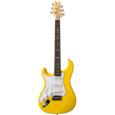 SE Silver Sky Gaucher Dandy Lion