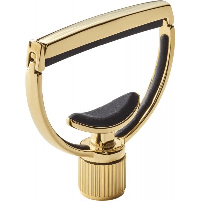 Heritage Guitar Style 1 Standard Gold