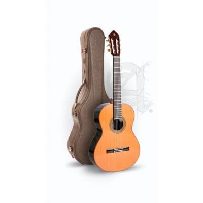 PROFESSIONAL LUTHIER PREMIER PRO MADAGASCAR + 9650 BAM ICONIC CASE