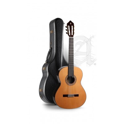 Concert 10 Premier + 9557 Case