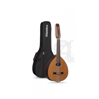 Student L-3C Lutes + 9534 Gigbag