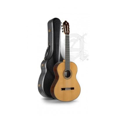 CONCERT 9P 12 1/2 REQUINTO + 9569 CASE