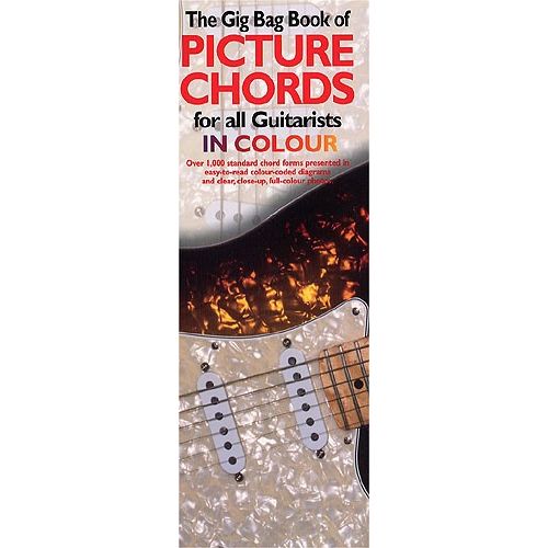 WISE PUBLICATIONS GIG BAG BOOK OF GUITAR PICTURE CHORDS IN COLOUR - GUITAR
