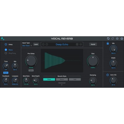 Vocal Reverb