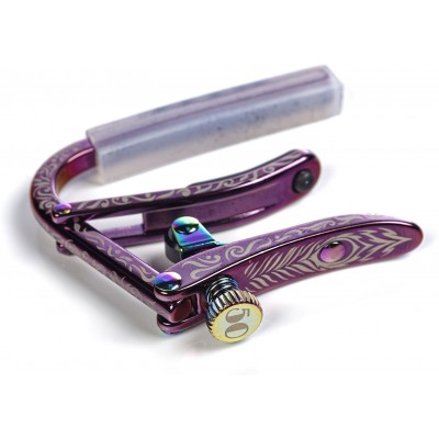 SHUBB Violet Sky LTD Folk/Electric