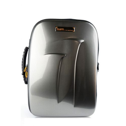 BAM NEW TREKKING 2 BB & A CLARINETS CASE - SILVER CARBON LOOK