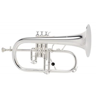 AC154-2-0 - PROFESSIONAL - SILVER PLATED