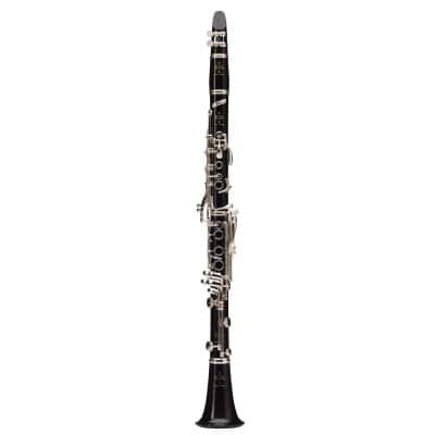 Clarinetes profissionais