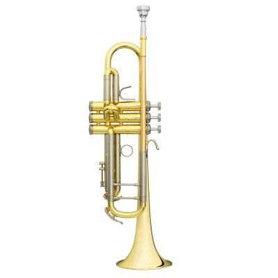 Challenger I Sib Vernie - BS3137-1-0