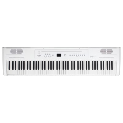 BIRD INSTRUMENTS STOCK-B XP1 WH
