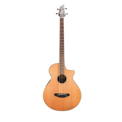 BREEDLOVE SOLO BASS CW LR BAGGS - SECONDHAND