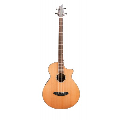 Solo Bass CW LR Baggs - Occasion
