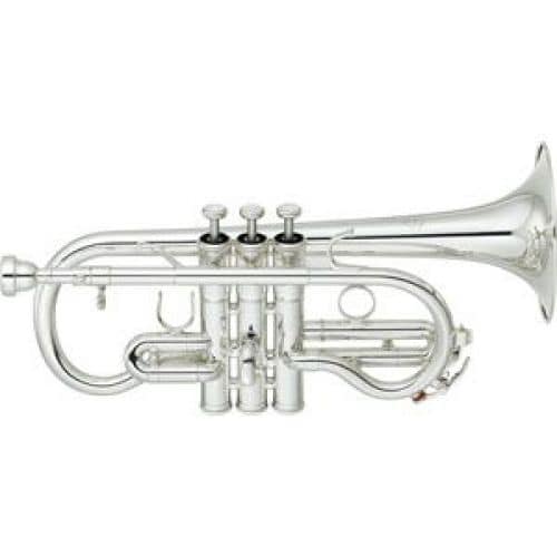 CORNET PROF. - CORNET MIB NEO / PERCE ML