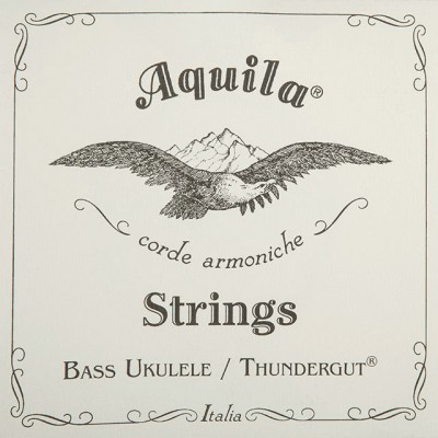 THUNDERGUT 5 STRING BASS UKULELE SET, B-EADG