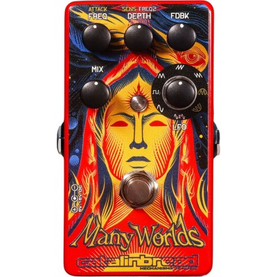 Many Worlds