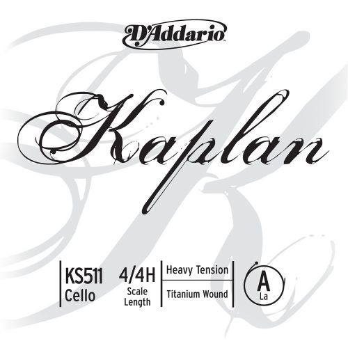4/4 KAPLAN CORDE LA HEAVY/ACIER FILE TITANIUM