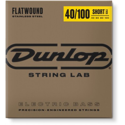 JIM DUNLOP DBFS40100S STAINLESS STEEL FILETS PLATS SHORT SCALE 40-100