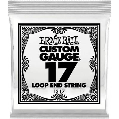 ERNIE BALL .017 LOOP END STAINLESS STEEL PLAIN BANJO OR MANDOLIN GUITAR STRINGS
