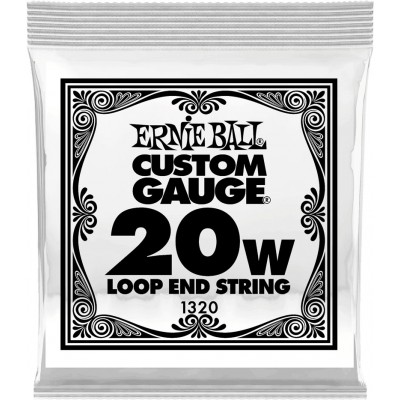 Ernie Ball Stainless Steel 20